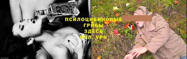 spice Зеленокумск