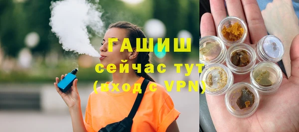 стаф Каменка