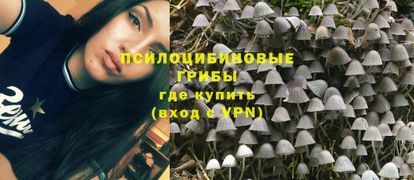дурь Зеленодольск