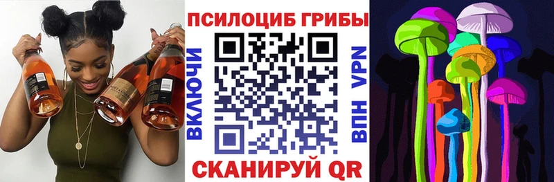 Галлюциногенные грибы Magic Shrooms  сколько стоит  Касимов 