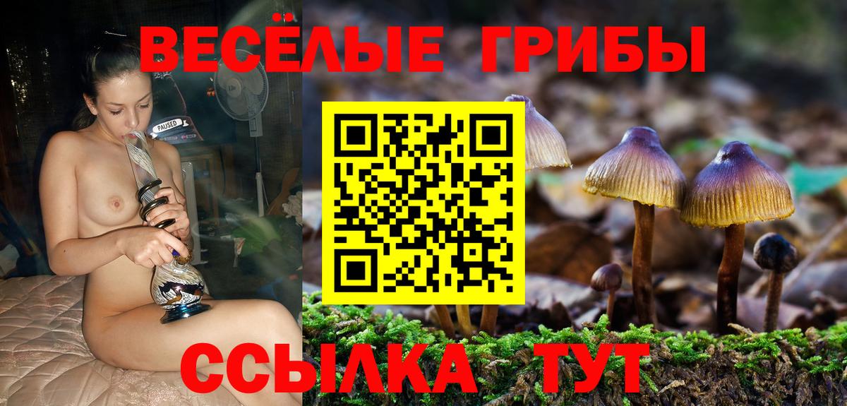 где купить наркотик  Галлюциногенные грибы ЛСД  Вход с VPN  Касимов 